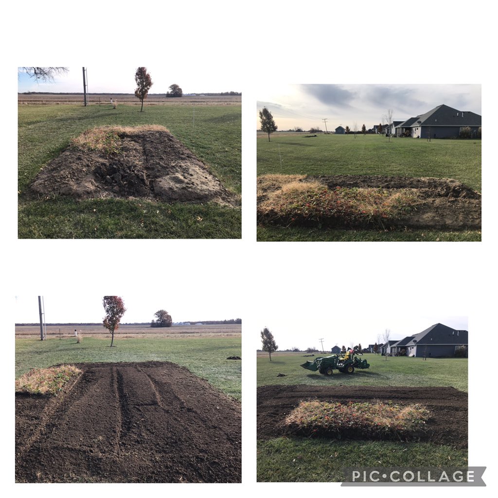 kostertsd's tweet photo. A raised garden area changed to a traditional garden spot &amp; saved the perennial strawberries so they can keep producing in the future. https://t.co/n5SvjBE9s9
