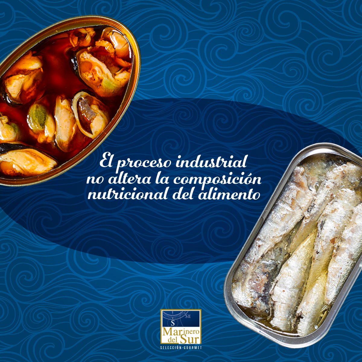 🌟 ¡Descubre el secreto de nuestras conservas! El proceso industrial mantiene la riqueza nutricional intacta. 

¿Sabías que las vitaminas A, K y ácidos fólicos se conservan gracias a la oscuridad de la lata? Así, cada bocado es un festín de salud y sabor. 🥦🍽️