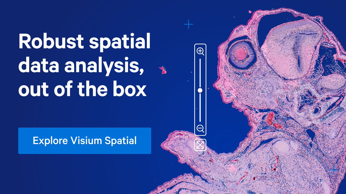 #Spatialtranscriptomics assays are powerful discovery tools, but is the learning curve for data analysis worth it? #Visium Spatial assays let you focus on searching for biological insights with easy-to-use analysis and visualization software. Learn more: bit.ly/48jfQ0b