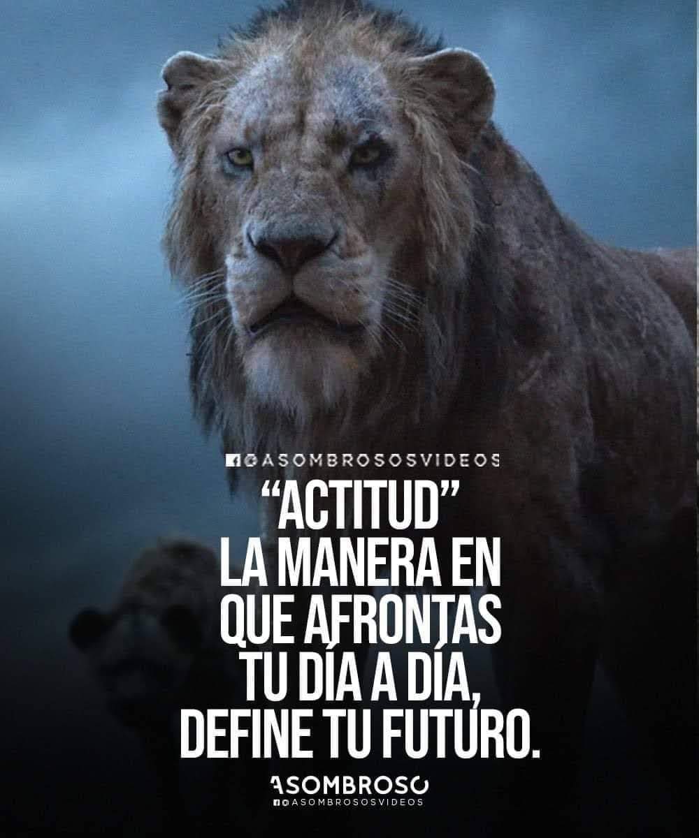 patrciatarang3's tweet photo. Siempre con la mejor actitud empezando  el día, junto a  grandes mujeres del #Distrito29
De el mejor  equipo #ADM #laloFlores
#Calimaya 
#SanAntonioLaIsla
#Rayon
#Texcaliacac https://t.co/tWQZC4kOiJ