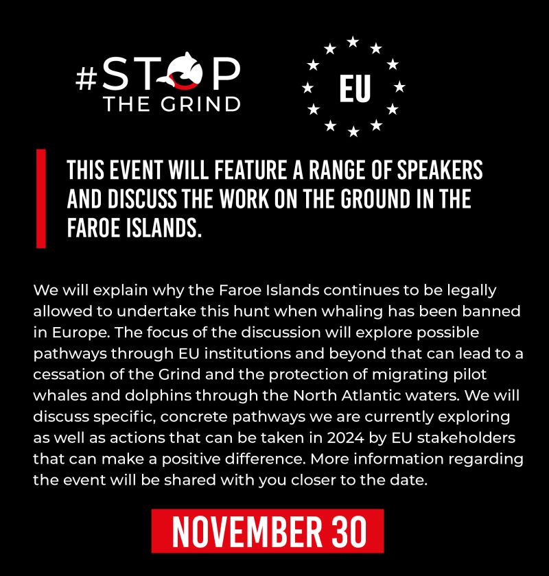 The #StoptheGrind coalition will be debating the Faroes' Grindadrap whale slaughters at the European Parliament in Brussels, co-hosted by Francisco Guerreiro MEP (Group of the Greens/European Free Alliance) and Anja Hazecamp MEP (Dutch Animal Party). stopthegrind.org