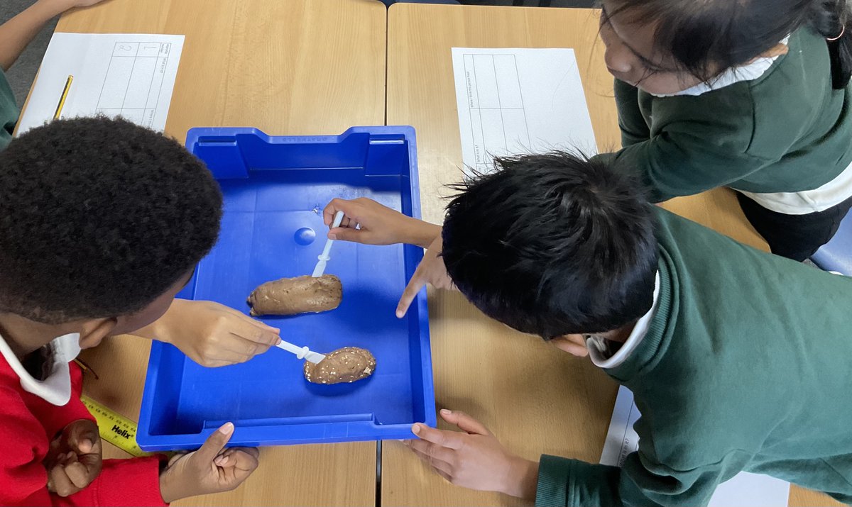 Greenfield_HT's tweet photo. Year 3 have been archaeologists for the afternoon! They have dissected Stone Age coprolites and been digging for artefacts 🔍#beanactivelearner https://t.co/ypShIm4QdH