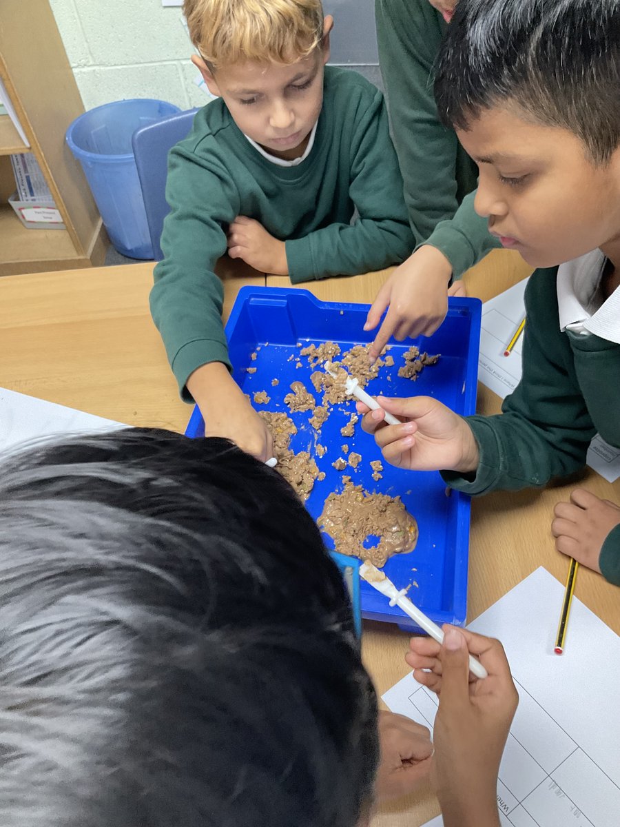 Greenfield_HT's tweet photo. Year 3 have been archaeologists for the afternoon! They have dissected Stone Age coprolites and been digging for artefacts 🔍#beanactivelearner https://t.co/ypShIm4QdH
