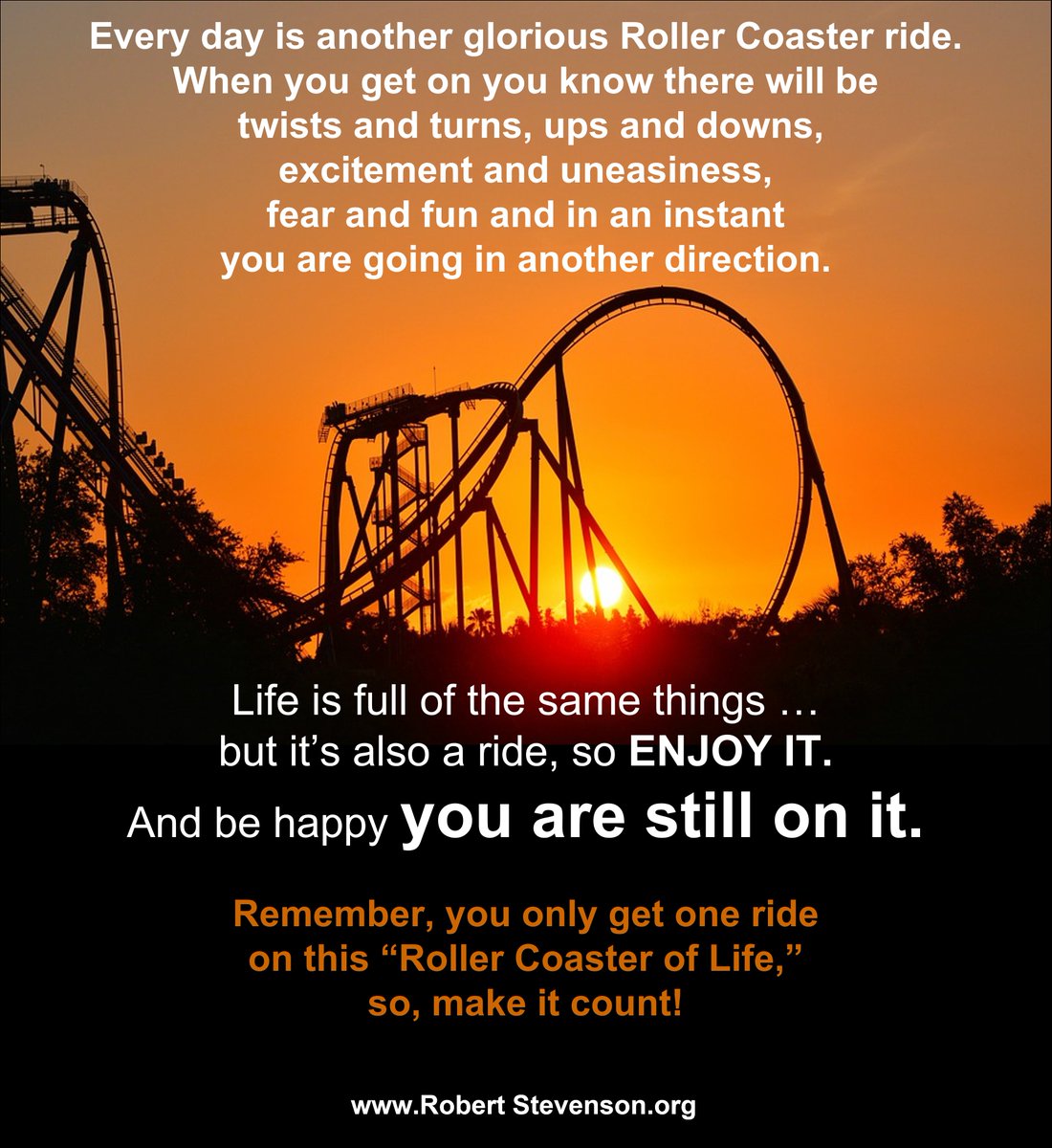 Carousel Ride Quotes Roller Coaster Ride Quotes