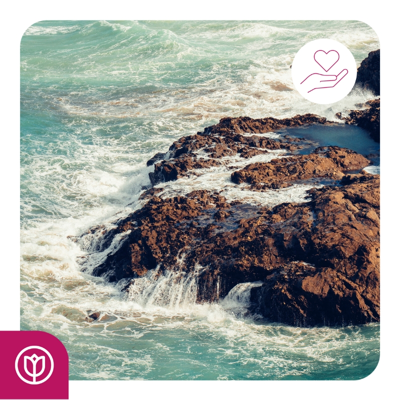 With the help and support received from the <a href="/MSCentreSussex/">Sussex MS Centre</a>, an individual recently achieved their goal of swimming the English Channel and has since become a mentor, guiding others to experience the benefits of swimming with MS. We're proud to have helped fund this!