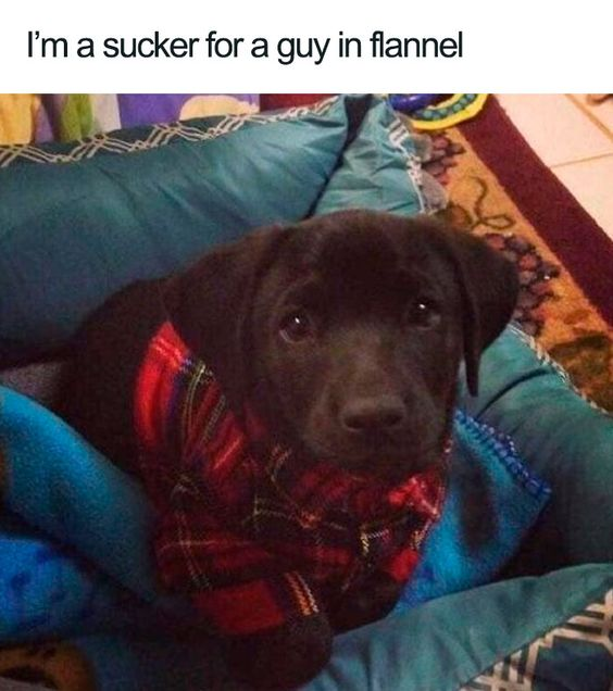 WholesomeMeme's tweet photo. https://t.co/DNxsXORebs