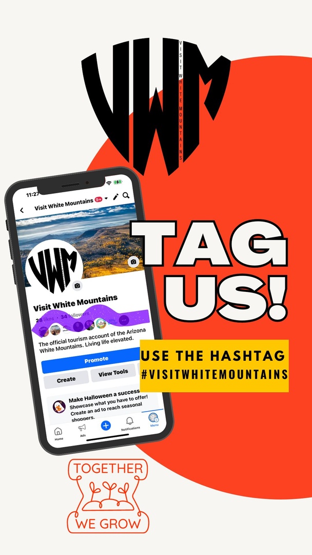 ShowLowChamber tweet media