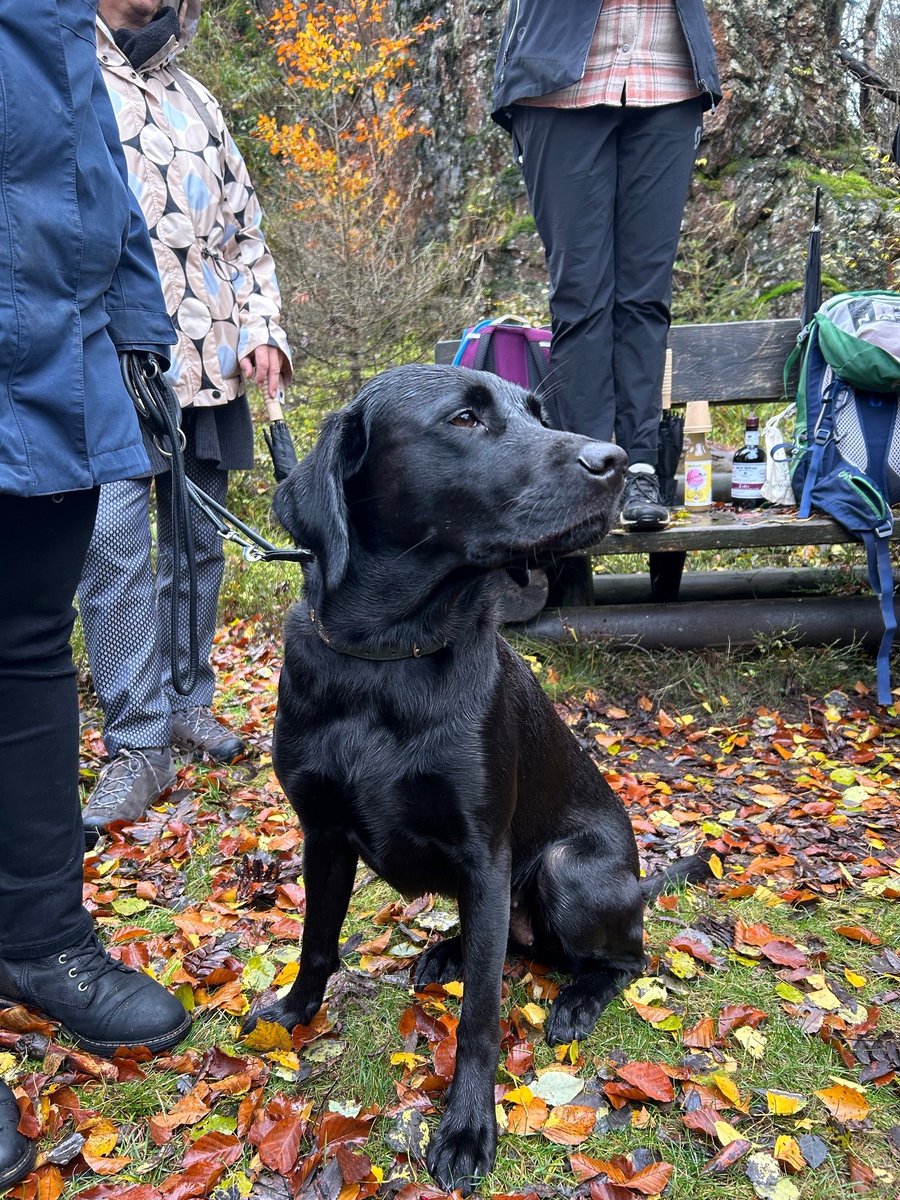 pi auf Wandertour beim diesjährigen Offsite: ⛰️

Für unseren Wanderausflug in den Wald machte der Dauerregen extra eine Pause und wir konnten auch ohne Schirm das wunderschöne Naturschutzgebiet im Harz genießen.