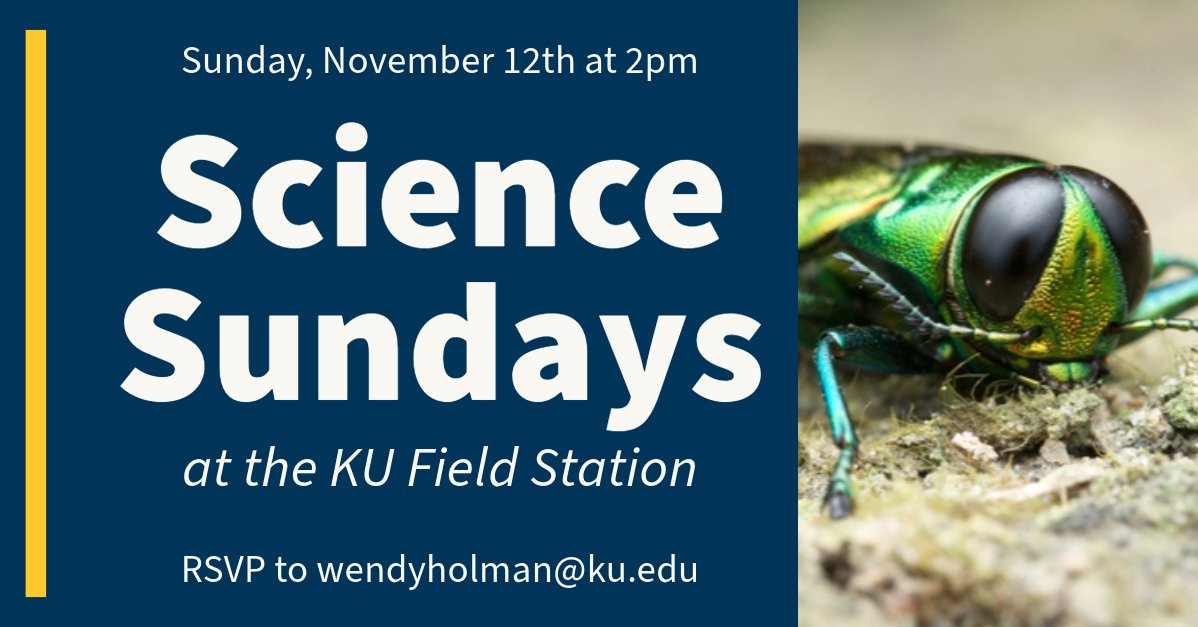 🪲November Topic: Emerald Ash Borer 🪲

November 12th at 2pm @ KU Field Station      

RSVP to Wendy (wendyholman@ku.edu)      

Event details: calendar.ku.edu/event/science_…

#kufieldstation #sciencesundays