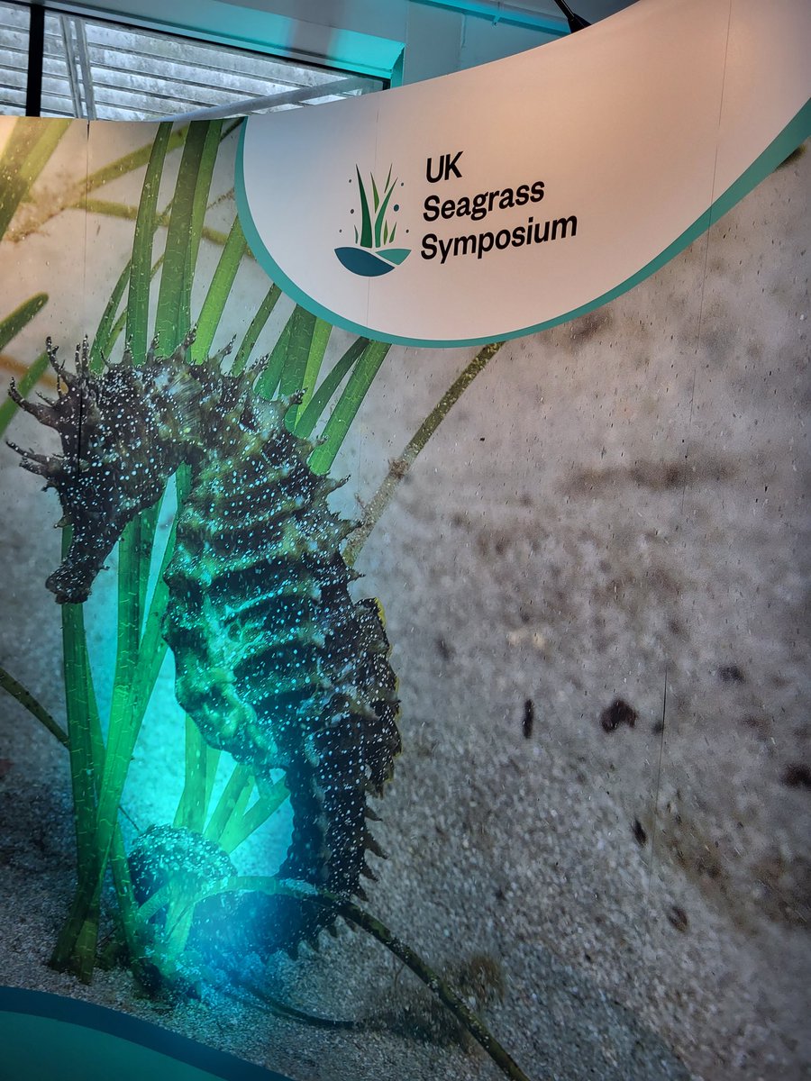 Incredible first day at #UKSS23, brilliant talks, interesting discussions, and productive workshops! #LetsTalkSeagrass
