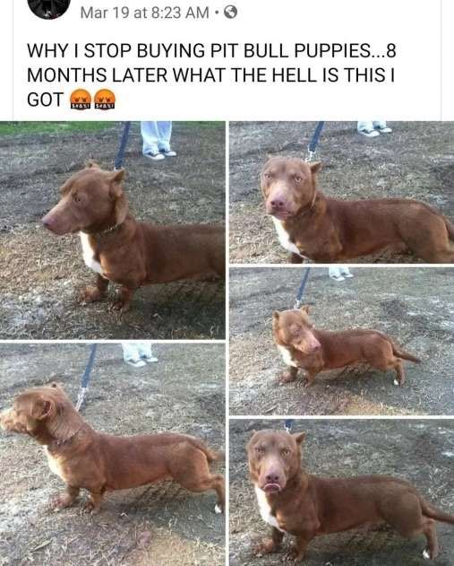 mischiefanimals's tweet photo. https://t.co/IEVIo0qKPS