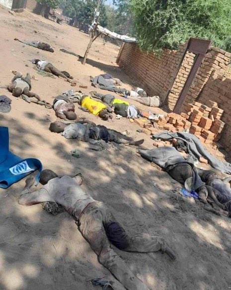 في غرب السودان قامت المليشيا "الدعم السريع" مدعومة بمرتزقتها من غرب افريقيا بعمل ابادات جماعية علي اساس العرق/النوع 
الصورة ادناه من منطقة اردمتا بغرب السودان حيث اقتحمت البيوت واختطفت النساء وقىتلت الرجال والاطفال واحرقت مساكنهم ...
#انقذوا_السودان
#جرائم_الدعم_السريع