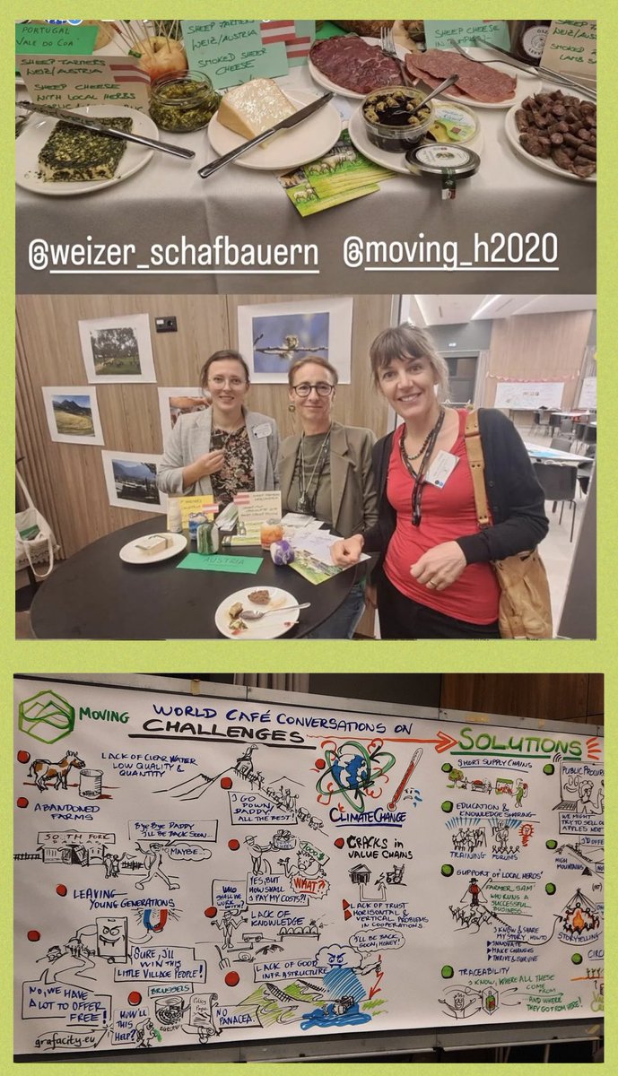 IFZ Graz (@ifz_graz) on Twitter photo Greetings from a very productive and co-creative meeting in Budapest for our project @moving_h2020. The Austrian team (<a href="/Sandra_Karner/">Sandra Karner</a>, Melanie Troppe, @daveintransition ) are discussing policy recommendations together with stakeholders from twenty countries. Greetings from a very productive and co-creative meeting in Budapest for our project @moving_h2020. The Austrian team (<a href="/Sandra_Karner/">Sandra Karner</a>, Melanie Troppe, @daveintransition ) are discussing policy recommendations together with stakeholders from twenty countries.