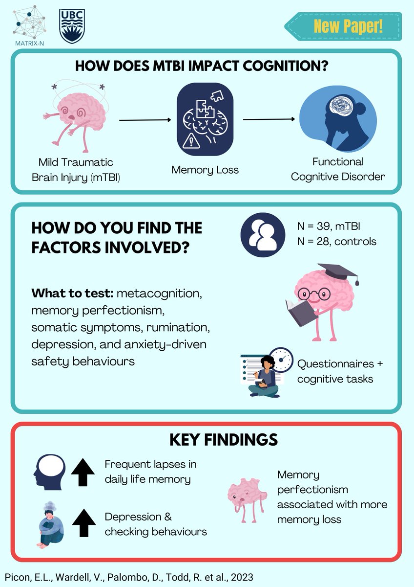 Check out our newest graphical abstract in the #translationalthursday series! This important work on mTBI and cognition was done by @edwinap @DanielaJPalombo @BecketTodd @silverberg_lab and team within @UBCPsych @DMCBrainHealth Paper link: pubmed.ncbi.nlm.nih.gov/37602857/