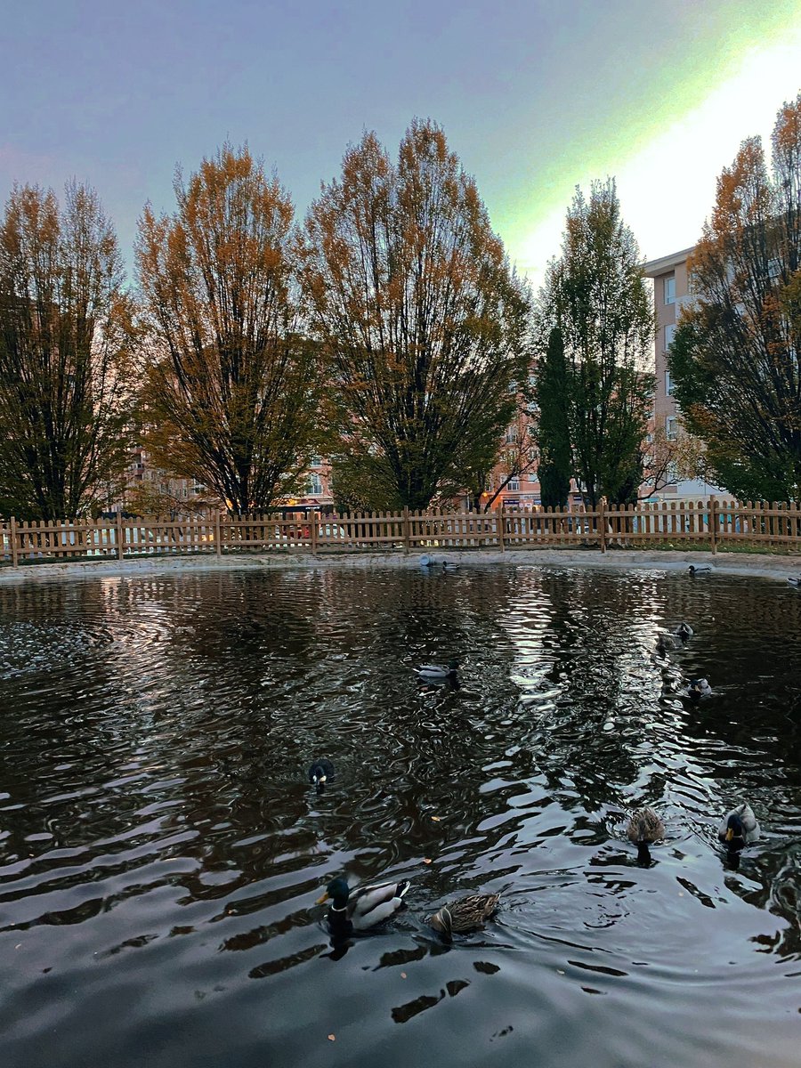 Msol59's tweet photo. Otoño Abulense😍(📸PPA) https://t.co/3uK1rscfrG