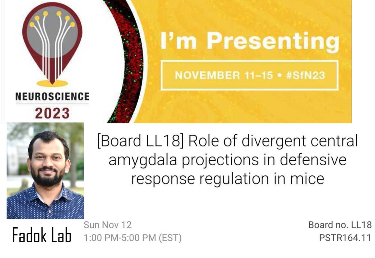 Chandu Borkar (@chandu_borkar) on Twitter photo Excited to present my postdoc work at #SfN23 from Fadok Lab <a href="/The_Fadoktor/">Jonathan Fadok</a> !
I will discuss central amygdala and fear scaling, with a special emphasis on its upstream and downstream circuits. Stop by the poster on Sunday⬇️ Excited to present my postdoc work at #SfN23 from Fadok Lab <a href="/The_Fadoktor/">Jonathan Fadok</a> !
I will discuss central amygdala and fear scaling, with a special emphasis on its upstream and downstream circuits. Stop by the poster on Sunday⬇️