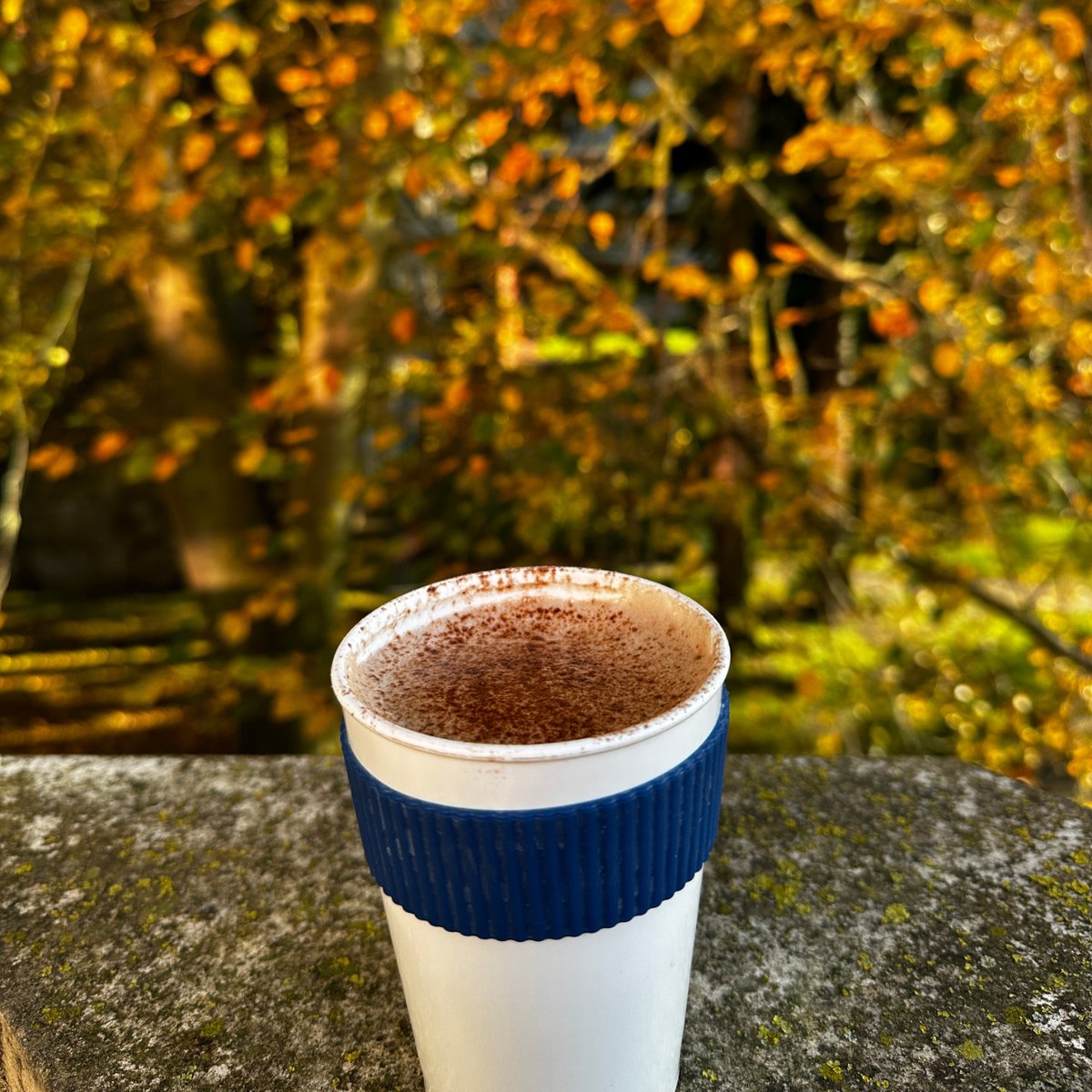 UEALibrary's tweet image. Doesn't our campus look beautiful in Autumn? 🍂
Make the most of your study break by grabbing a novel and hot chocolate!
We'd love to see your Autumnal library photos, just tag us or use our hashtag #UEALibViews

#UEALibrary #UEANorwich #LibraryVibes  #Norwich #AutumnVibes