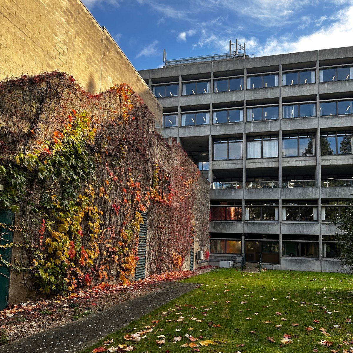 UEALibrary's tweet image. Doesn't our campus look beautiful in Autumn? 🍂
Make the most of your study break by grabbing a novel and hot chocolate!
We'd love to see your Autumnal library photos, just tag us or use our hashtag #UEALibViews

#UEALibrary #UEANorwich #LibraryVibes  #Norwich #AutumnVibes