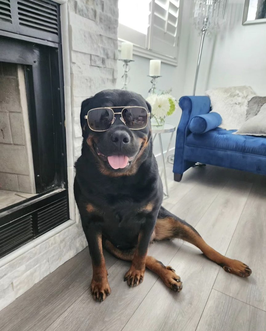 TREASURETRACKED's tweet photo. every bit as stylish as mami ✨ https://t.co/K5zhn44AF6