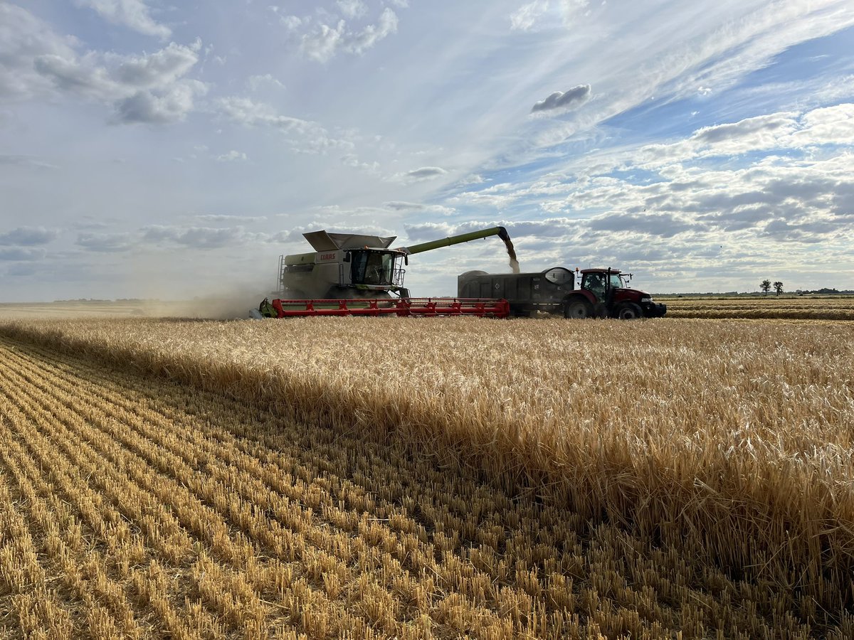 *** Skilled Arable Operator required ***
A R Craven Farms Ltd

An exciting opportunity has arisen for a skilled, motivated individual to join our arable team. 
A R Craven Farms Ltd is looking for full time operative to perform spraying, drilling and other general farm duties.