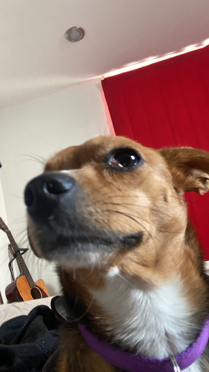 Mi cara cuando Princesa Anuncia dos tocadas en menos de un mes:

**Y quedan más sorpresas.