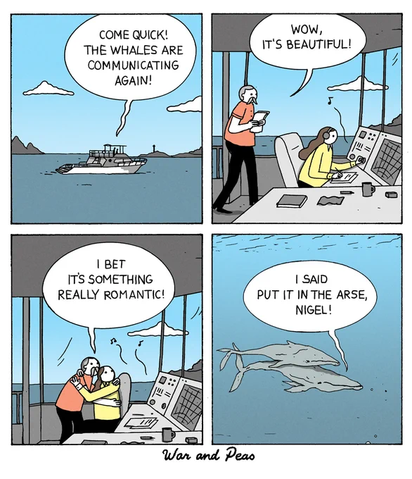 Whale Song 🎶 