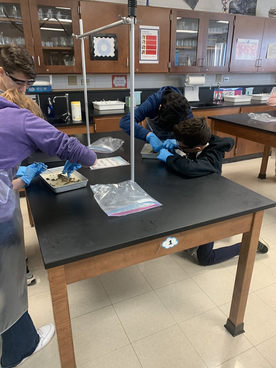 Catrina Niven tweet media