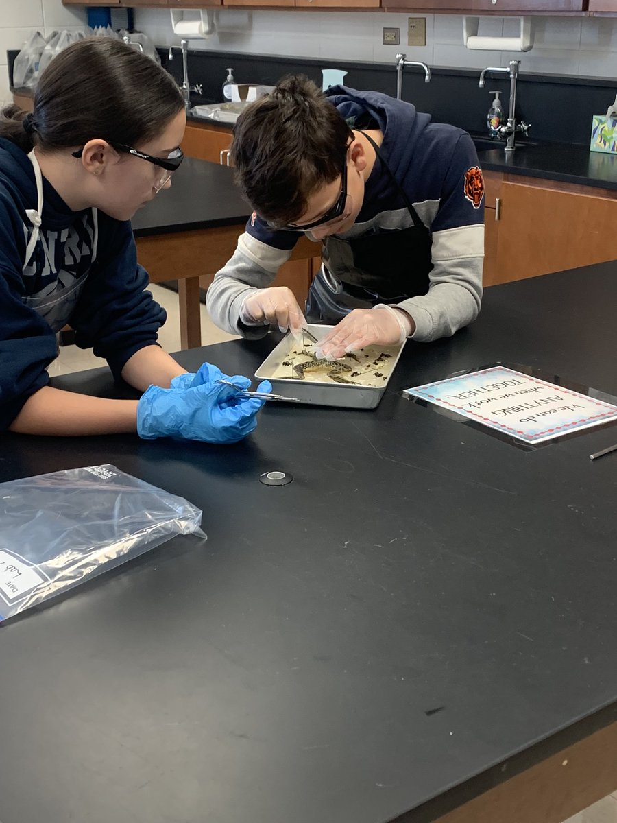 Catrina Niven tweet media