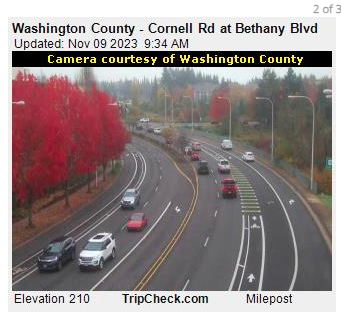TrafficPortland's tweet photo. Another couple of fall color explosions caught on traffic cams. https://t.co/HObCIix1Zm