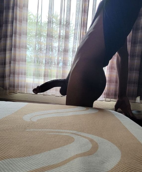 blkcatboi's tweet photo. Rare 🍆 https://t.co/TvyXjt1HcE