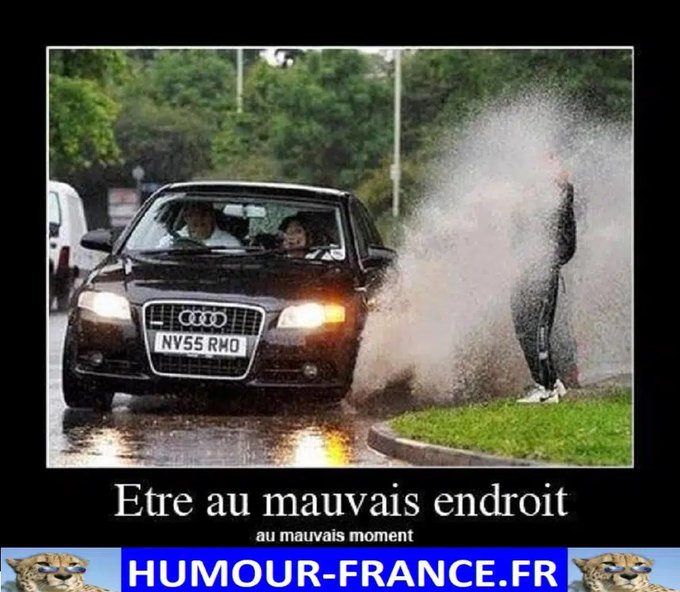 text alternatif
