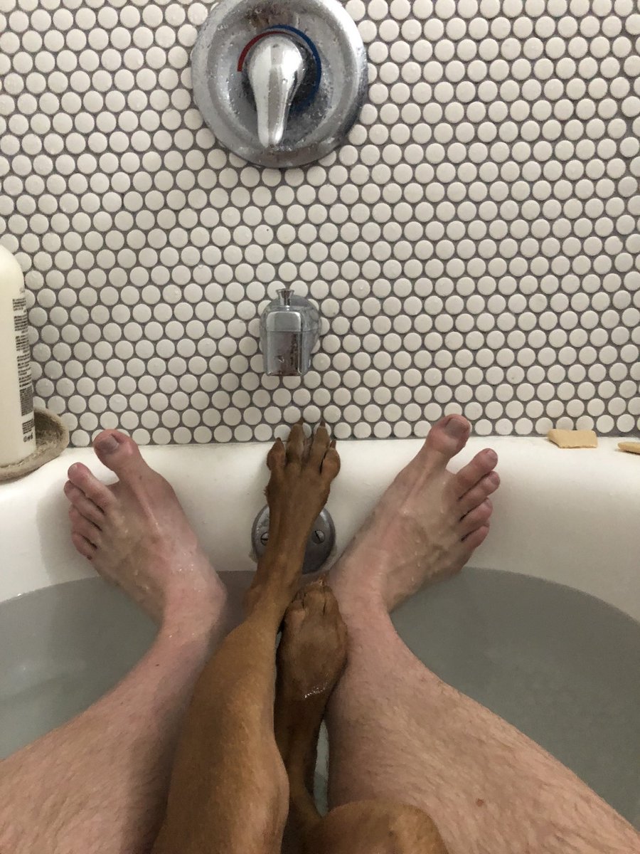 Briggs Gallacher (@briggsgallacher) on Twitter photo 