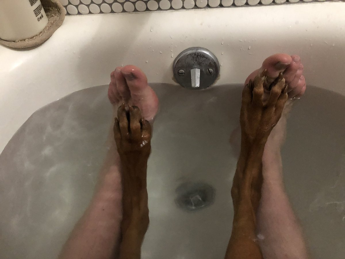 Briggs Gallacher (@briggsgallacher) on Twitter photo 