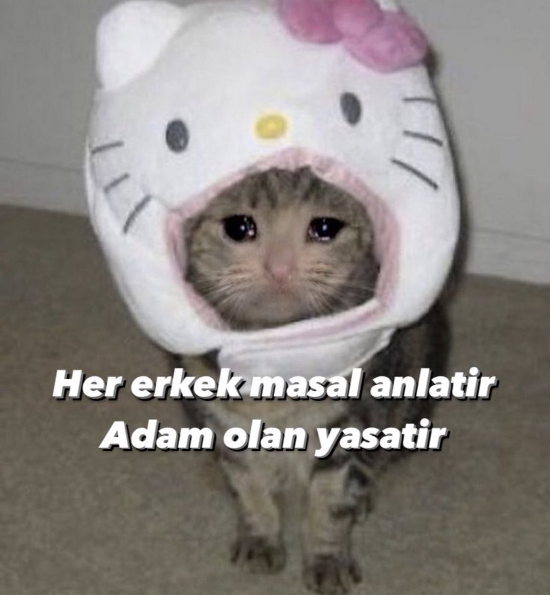 tambiirseker's tweet photo. https://t.co/5kSne6NOCB