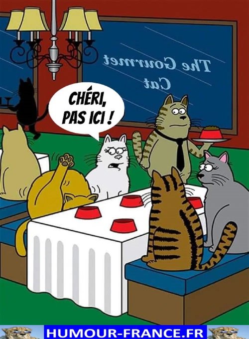 text alternatif