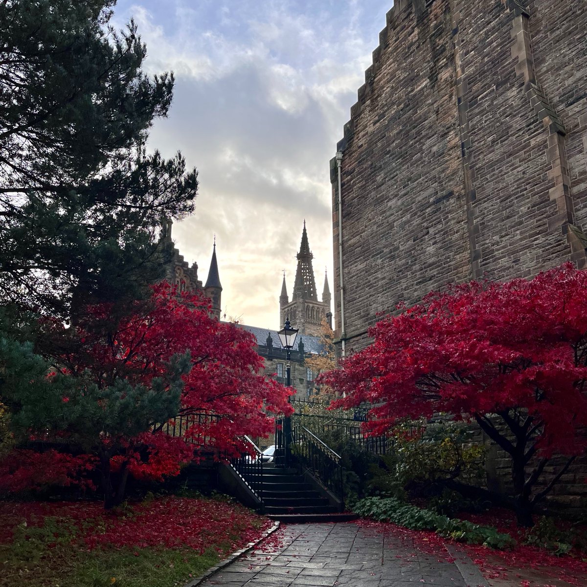 UofGlasgow's tweet photo. Beautiful autumn morning on campus 🍂❤️ https://t.co/LvWfaIVZye