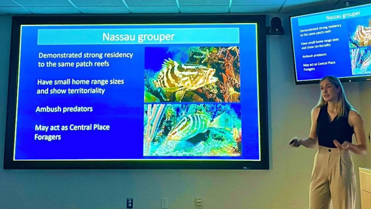 Please join us in celebrating @s_luongo, who successfully defended her dissertation yesterday! Dr. Luongo assessed the energetics, behavioral strategies, & space use of dolphinfish and Nassau grouper. Congratulations Dr. Luongo, we are so excited for you!