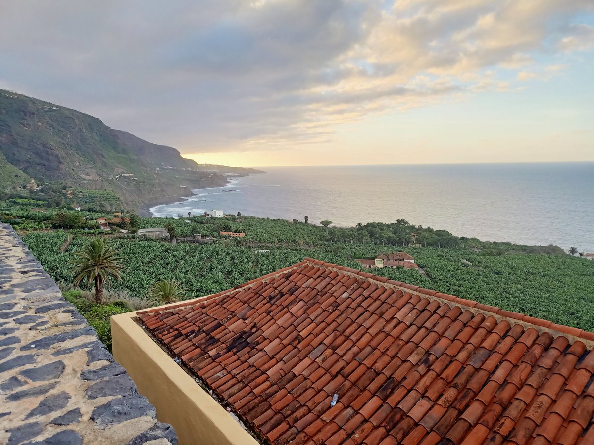 Northern #Tenerife, right now