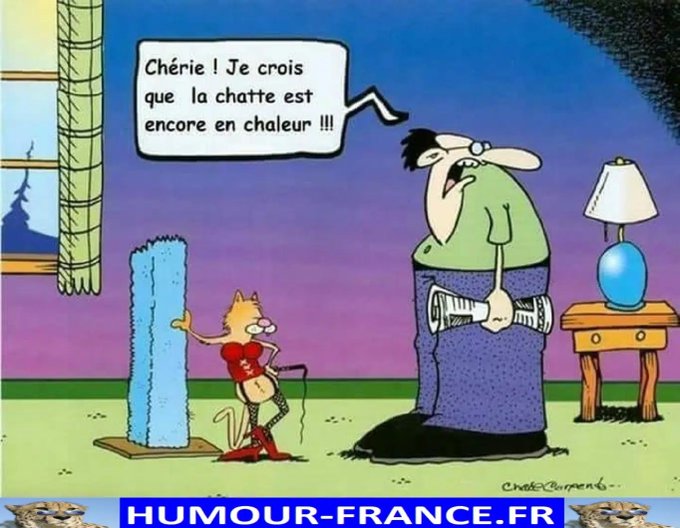 text alternatif