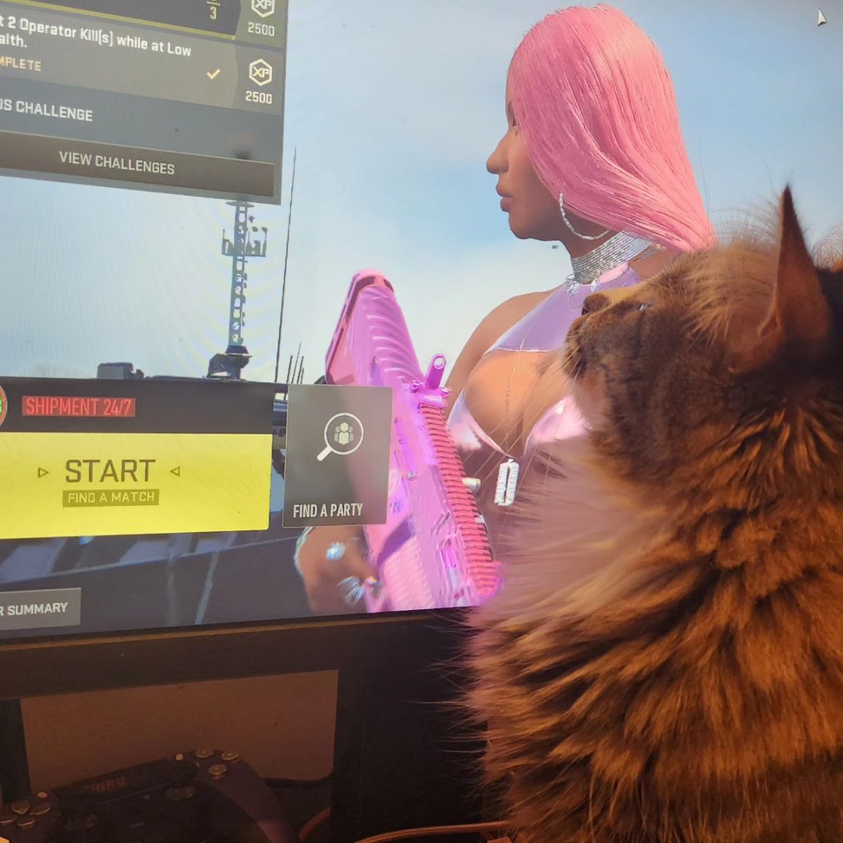 MsPinky313Play_'s tweet photo. Why Brownie, why? 😫 #catmomlife #catmom #catmomproblems https://t.co/6psiQACtMT