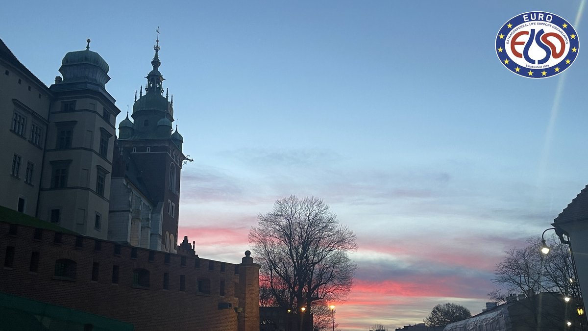 EuroELSO (@euroelso) on Twitter photo ๐ต๐ฑ Here in Krakow setting up #EuroELSO2024!! An amazing city for an amazing <a href="/EuroELSO/">EuroELSO</a> congress that you should NOT miss:
๐ Save the date: April 24-27, 2024
๐ป All info at euroelso-congress.com
๐ข Call for abstracts is open, start writing & submit ๐ซ
deadline: January 5, 2024 ๐ต๐ฑ Here in Krakow setting up #EuroELSO2024!! An amazing city for an amazing <a href="/EuroELSO/">EuroELSO</a> congress that you should NOT miss:
๐ Save the date: April 24-27, 2024
๐ป All info at euroelso-congress.com
๐ข Call for abstracts is open, start writing & submit ๐ซ
deadline: January 5, 2024