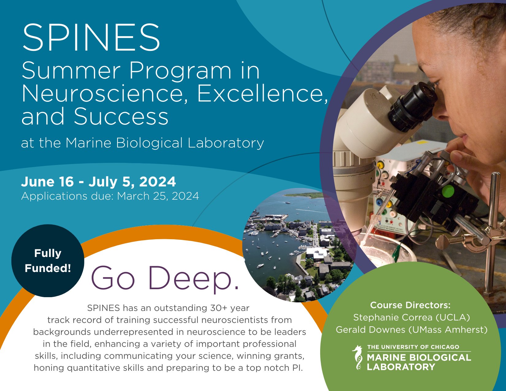 Neuroscience Summer Internships 2024 Summer Cybil Dorelia
