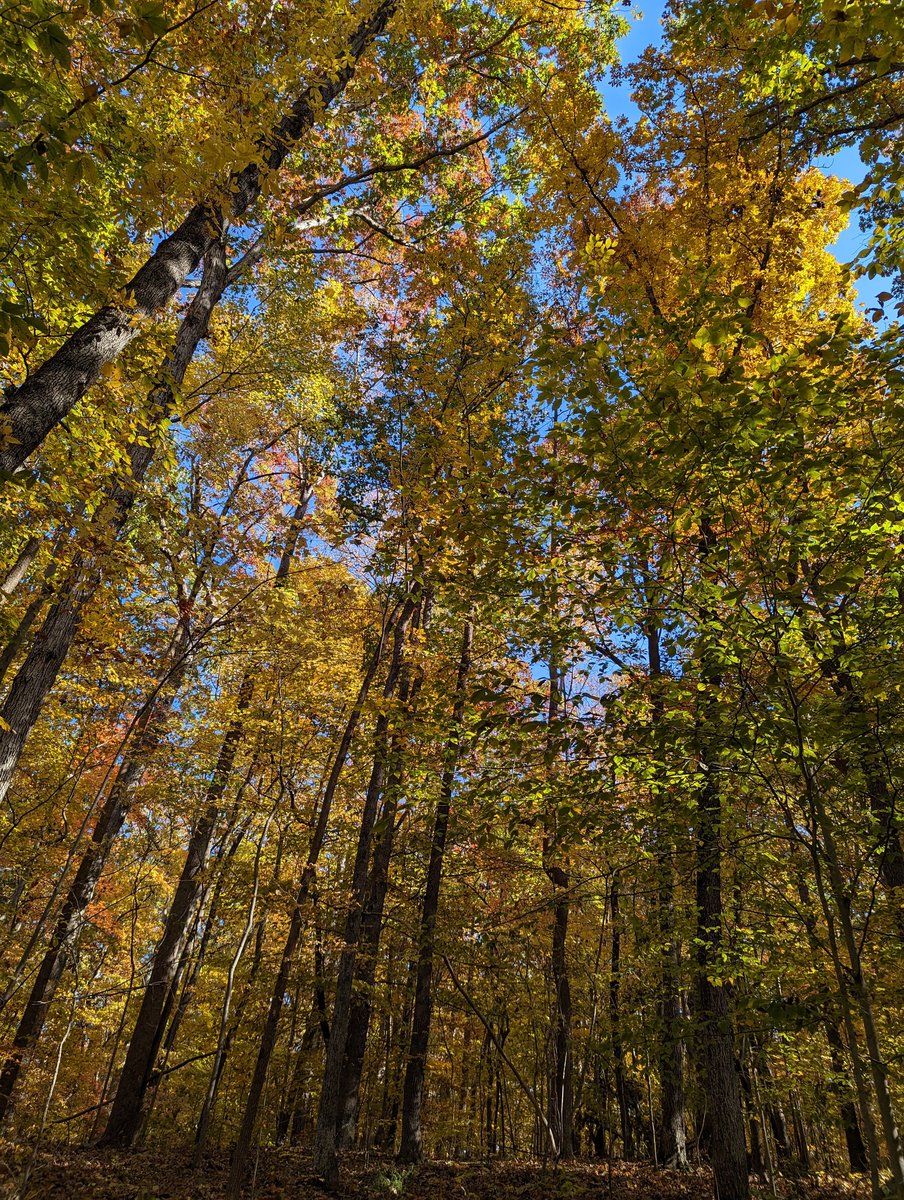 Clark Gray tweet media