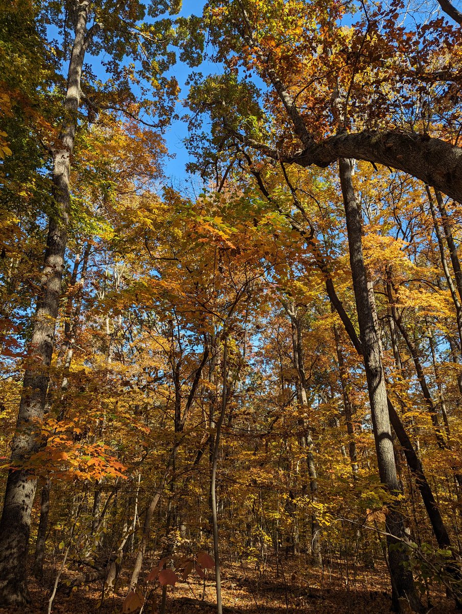 Clark Gray tweet media