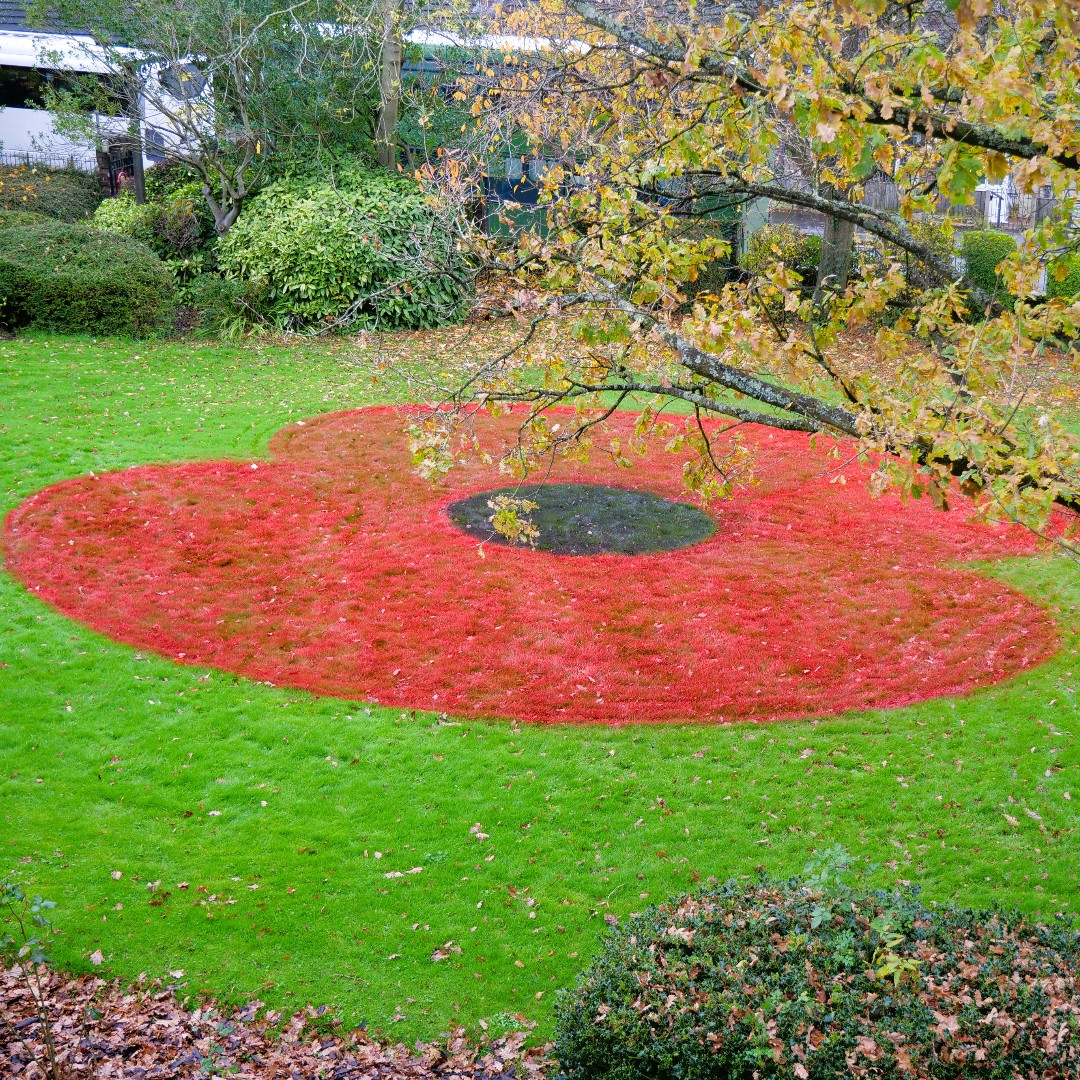 Here we have our poppy on the front lawn in preparation for our staff and pupils to come together to commemorate Remembrance in school on Friday 10th, November.  We will observe a two-minute silence, honouring those who have lost their lives in the line of duty.  #LestWeForget