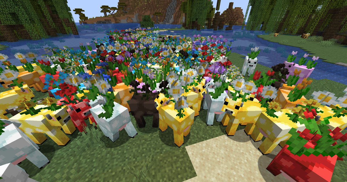 Starfish Studios tweet media