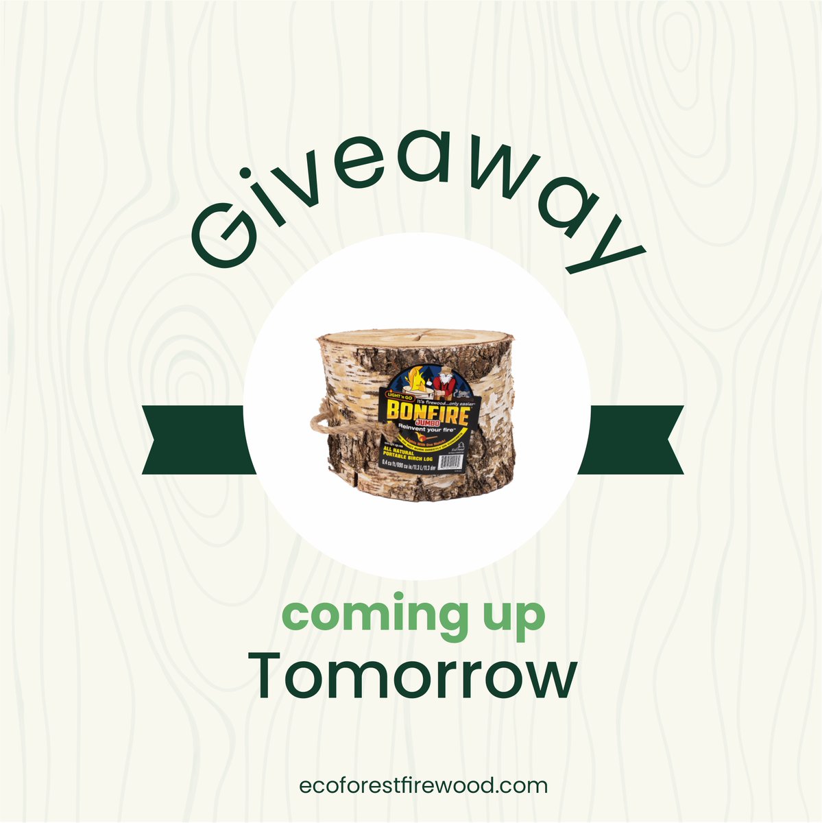 Light 'n Go tweet media