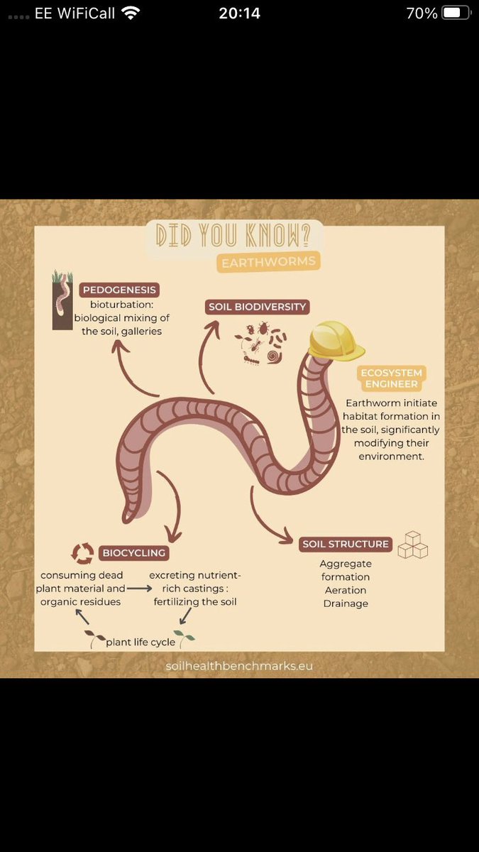 <a href="/makesoilgreat/">Else Villadsen</a> I saw these the other day and thought they were great 😊