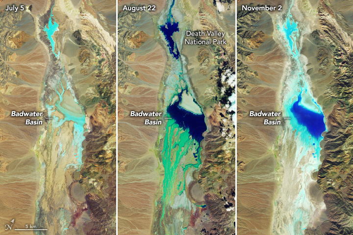 NASA Earth (@nasaearth) on Twitter photo Water fills a salt-coated playa 🧂
Badwater Basin in California’s Death Valley is normally a vast and dry salt flat. But rainfall from Hurricane Hilary—which soaked Southern California in August 2023— created a large temporary lake in the desert basin.
 
go.nasa.gov/3u4J4A9 Water fills a salt-coated playa 🧂
Badwater Basin in California’s Death Valley is normally a vast and dry salt flat. But rainfall from Hurricane Hilary—which soaked Southern California in August 2023— created a large temporary lake in the desert basin.
 
go.nasa.gov/3u4J4A9