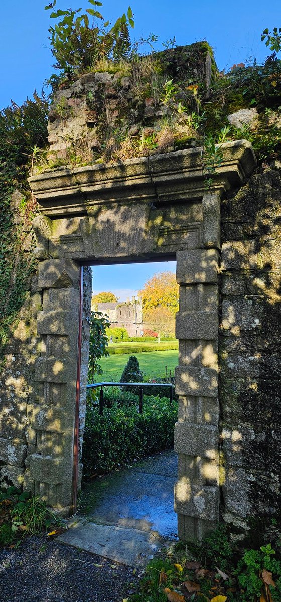 Ireland was the most mysterious, beautiful place I've ever been ☘️